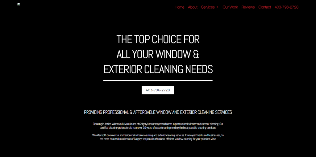 Cleaning In Action Old Website